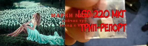 mix Белокуриха