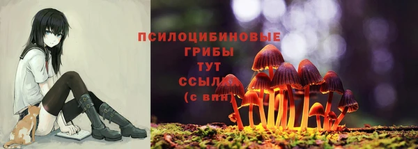 mix Белокуриха