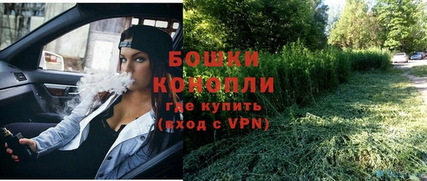 мдпв Ладушкин
