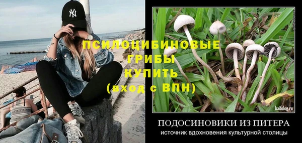 скорость Баксан
