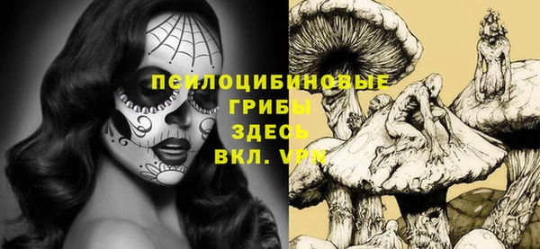 первитин Балахна