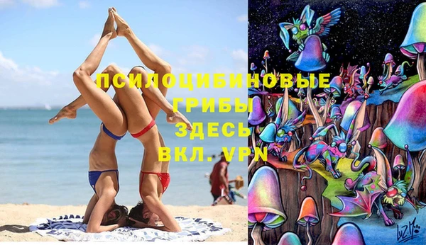 mix Белокуриха